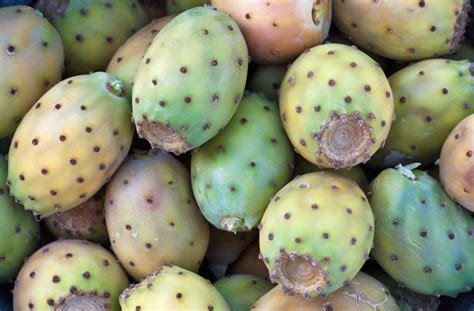 Why Prickly Pear Is The Hottest Skin Care Ingredient