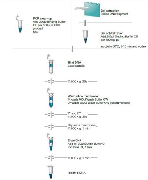 Qiaquick Pcr Purification Kit