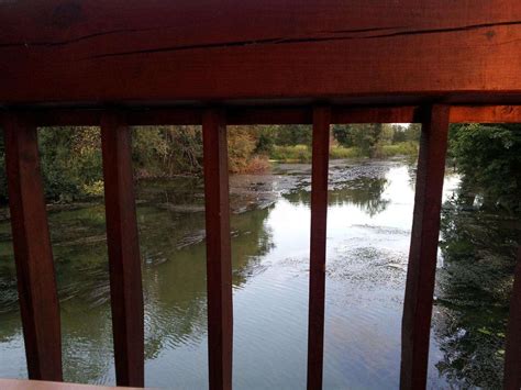 Le Moulin De La Baine Restaurant Chaniers Adresse Horaire Et