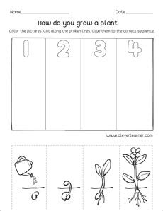 Kindergarten Sequencing Worksheets