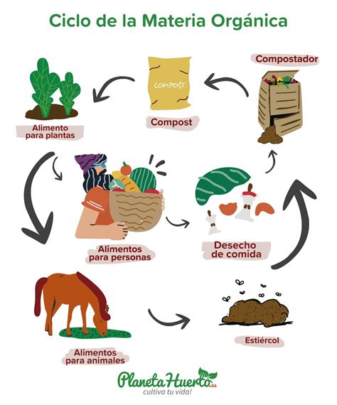 Composta En Casa Proceso Del Compostaje