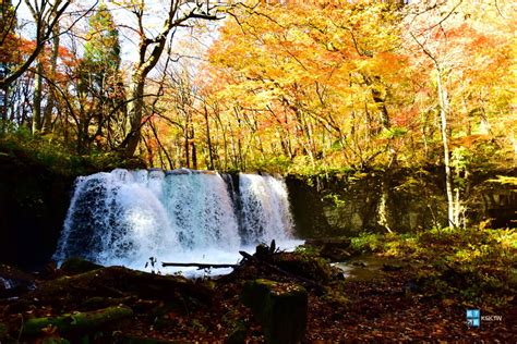 [日本東北。賞楓必去景點] 奧入瀨溪流 賞楓景點攻略：紅黃橘綠交錯的紅葉、東北賞楓一級戰區 日本自助旅行大補帖 凱子凱 痞客邦