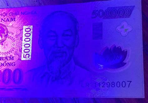 500000 Vietnamese Dong Polymer Banknote One Cir 500k Etsy