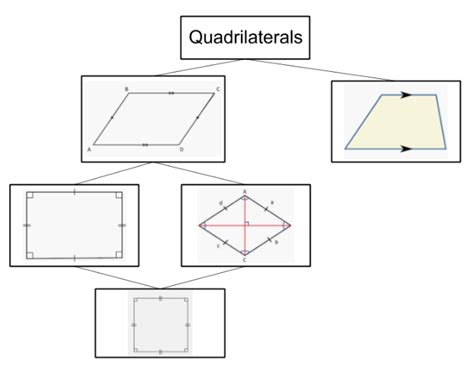 Classifying Quadrilaterals Diagram Quizlet