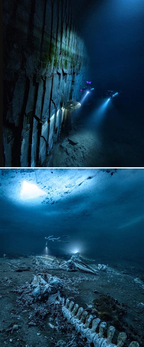 Scary Deep Sea Pictures