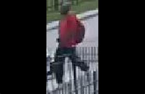 Toronto Police Seeking Suspect After Woman 27 Sexually Assaulted