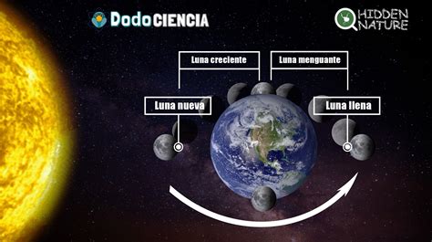 Diagrama Del Movimiento De La Tierra Sol Y Luna Tierra Orbit