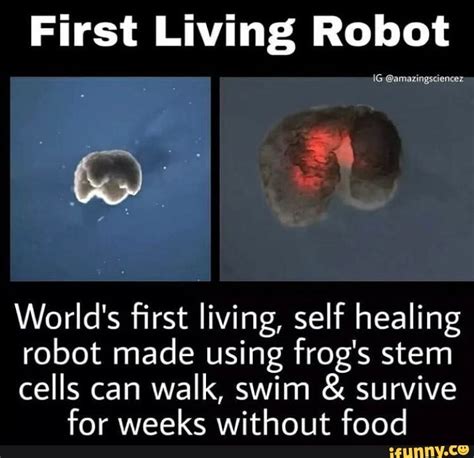 First Living Robot Worlds First Living Self Healing Robot Made Using