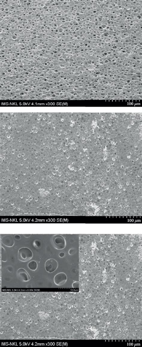 Sem Images Of The Surface A And The Cross Sectional Images B Of