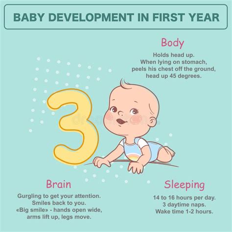 3 Meses De Um Bebe - Pouco Bebê Recém-nascido De 3 Meses Infographics Do Desenvolvimento ...