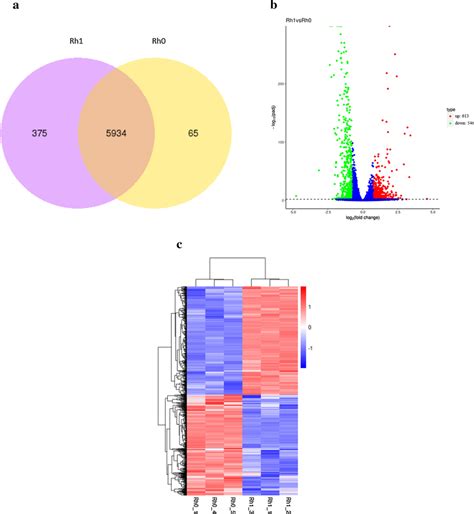 Differential Gene Expression Analysis A Venn Diagram Of Gene