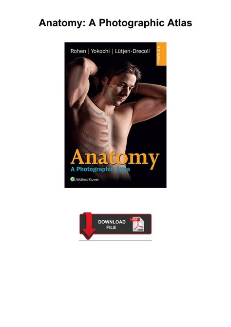 Pdf Anatomy A Photographic Atlas