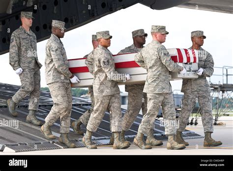 Fallen Soldiers
