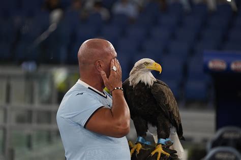 Lazio Il Falconiere Prova A Resistere Ancora A Formello E Spera Nel