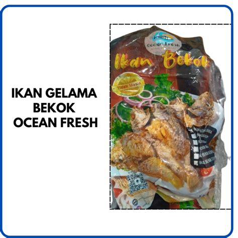 Ocean Fresh Ikan Gelama Bekok Ike Bekok berat 500g isian 2-3 ekur segar ...