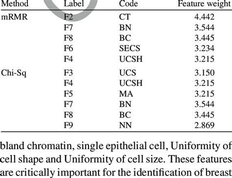 The Rank And Weight Of Features Selected By Mrmr And Chi Square