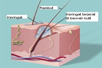 Hadijah Menulis Proses Pembentukan Keringat