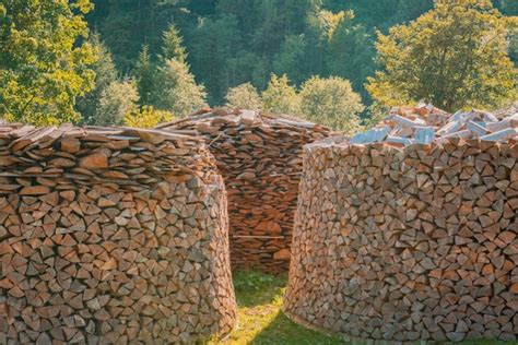 Premium Photo Many Round Heaps Of Woodpile On A Green Meadow In The