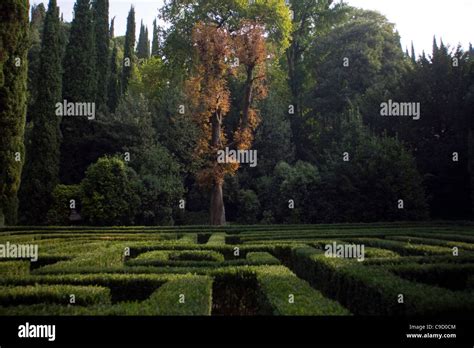 Details Of The Maze And Trees In The Giardino Giusti In Verona Italy