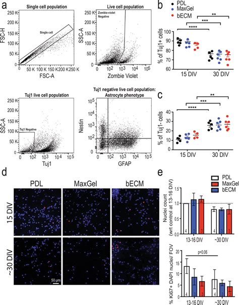 Characterization Of Cellular Composition Flow Cytometry Analysis Of