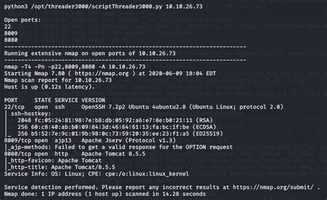 TryHackMe - Thompson 