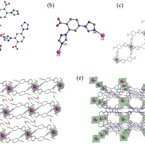 A Coordination Environment Of Cd II Ion B Coordination