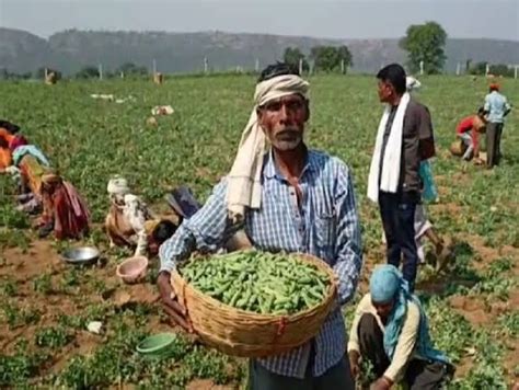 Organizing A Workshop For Pea Growers Vehicle Rally Will Come Out For Awareness एक जिला एक