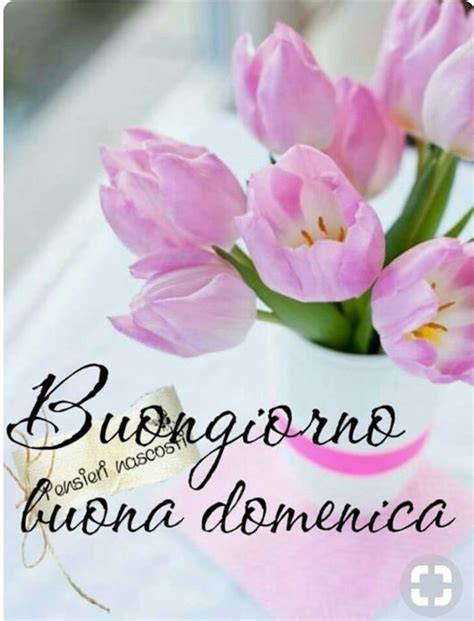 Bellissime Immagini Buona Domenica Bellissimeimmagini It