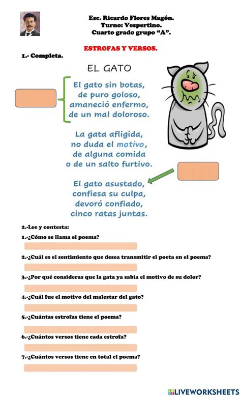 Versos Y Estrofas Worksheet Vocabulary Activities Language Education