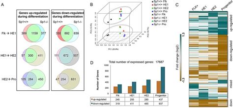 Gene Expression Becomes Progressively Deregulated During Hematopoiesis