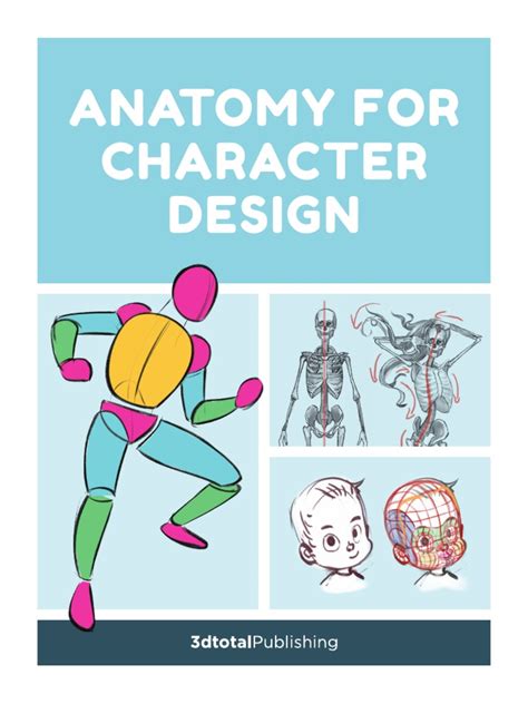 Anatomy For Character Design | PDF | Anatomy