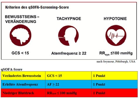 QSOFA Score Algorithmen SOP EASY Hessen