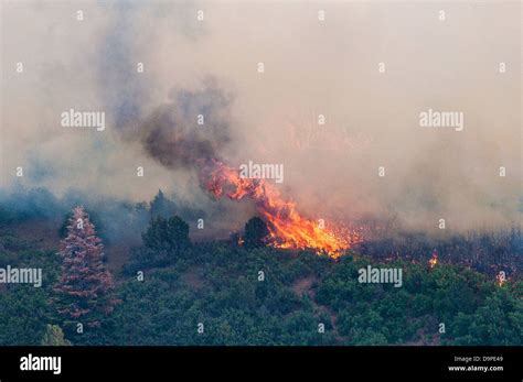 East Peak Fire Wildfire Rages June 21 2013 Near La Veta CO The Fire