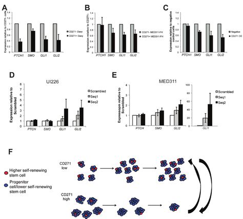 Cd Levels Are Inversely Correlated With Expression Of Shh Pathway