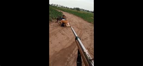 San Pedro Productor Agropecuario Apunt Con Un Arma A Un Joven Que