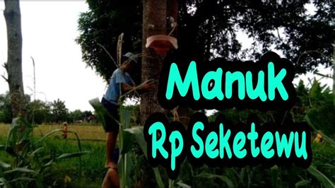 Komedi Jawa Timur Manuk Seketewu Youtube