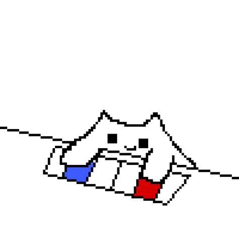 Pixilart Bongo Cat By DragonHunter11