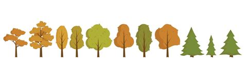 Set Of Flat Stylized Trees Natural Vector Illustration Side View