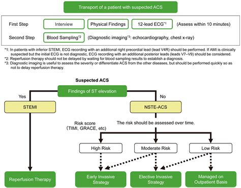 JCS 2018 Guideline On Diagnosis And Treatment Of Acute Coronary Syndrome