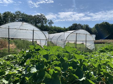 Visite Au Jardin Permaculture Et Agroforesterie Les Vinzelles