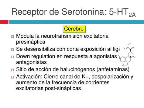 PPT Receptores De Serotonina David E Nichols And Charles D Nichols