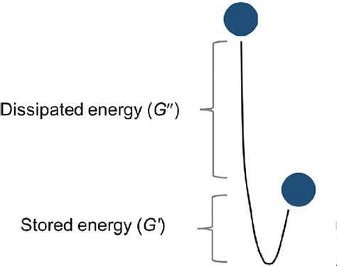 Figure 4 From Basic Principle And Good Practices Of Rheology For Polymers For Teachers And