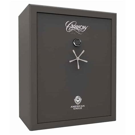 Buy Cannon Cp592618 30 24 Gun And Fire Resistant Safe City Safe