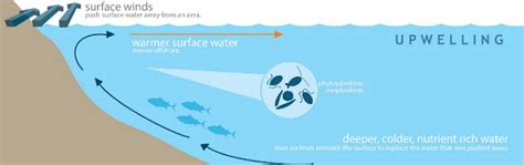 Movements Of Ocean Water Waves Tides And Ocean Currents UPSC PDF