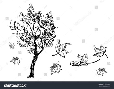 132,334 Autumn leaf sketch Images, Stock Photos & Vectors | Shutterstock