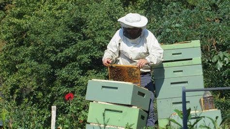 Beehive Boxes And Honey Supers Complete Beehives