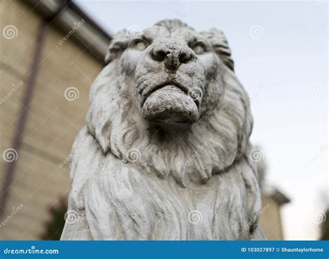 Portrait Of A Noble And Regal Male Lion Stone Statue In A Stately Home