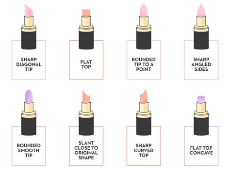 Different Types Of Lip Shapes With Their Names Infographic