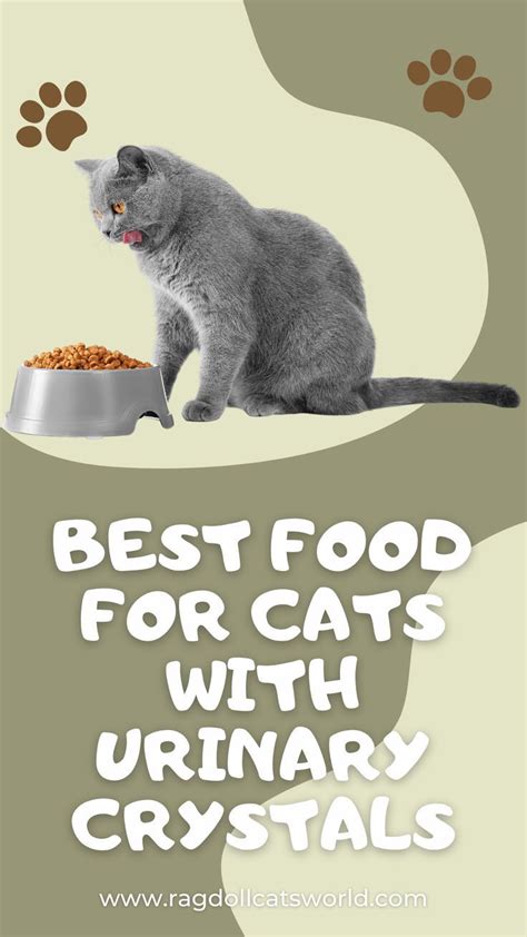 Best Food For Cats With Urinary Crystals Best Diets Best Foods