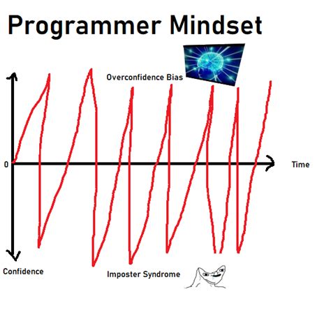 Programmer Humor On Twitter My Experience As A Professional